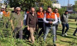 أمانة بغداد تطلق أكبر حملة للتشجير